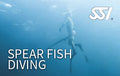 SSI Spearfishing Specialty Course