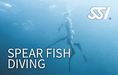 SSI Spearfishing Specialty Course