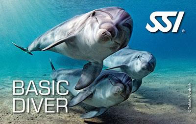 SSI Basic Diver Program